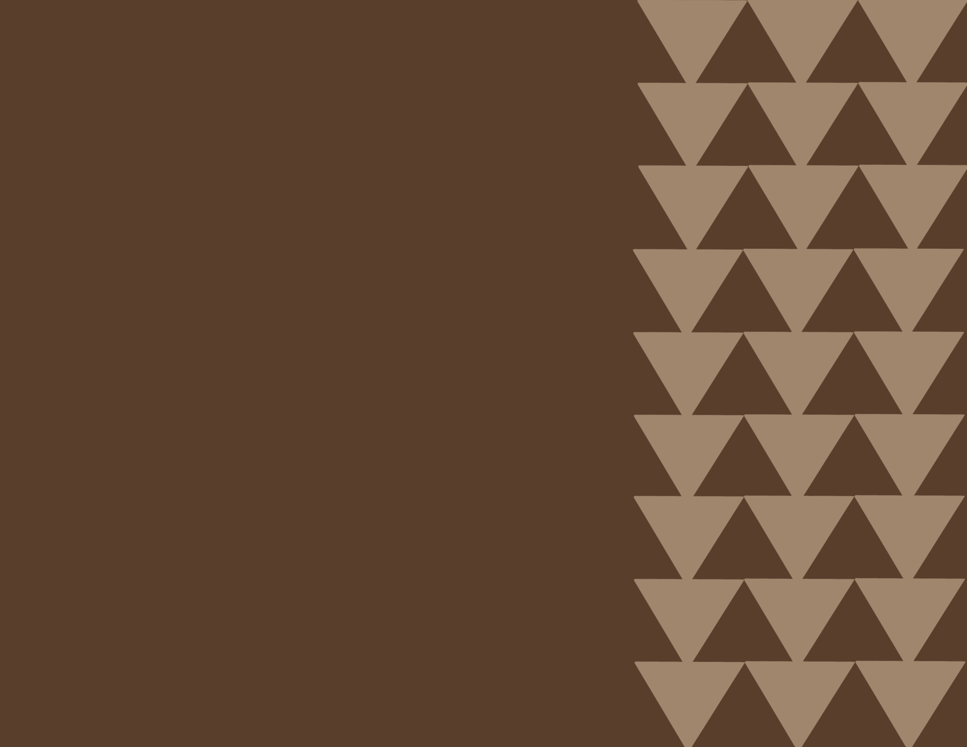 Descriptive text about the image content